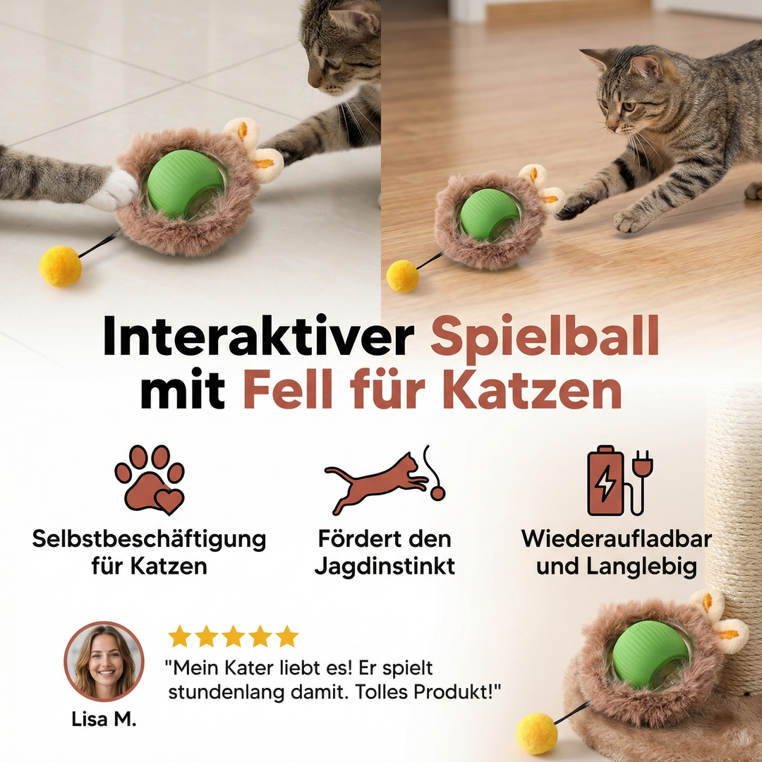 Flauschiger interaktiver Spielball für Katzen, perfektes Katzenspielzeug für den Jagdinstinkt.