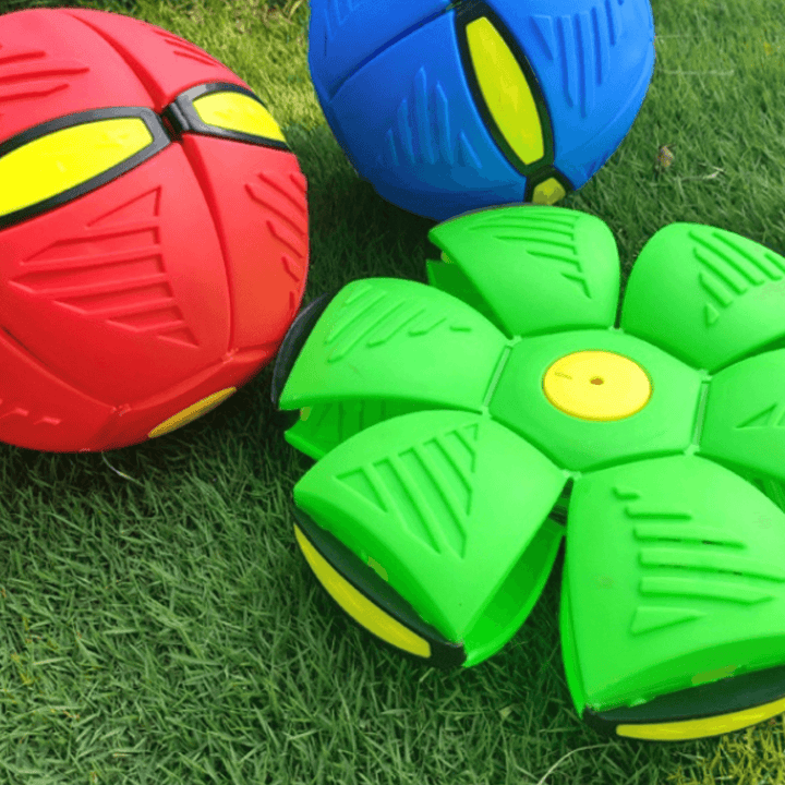 Hund und Katze spielen mit leuchtendem interaktivem Fliegender Scheibe Ball, ideal für aktive Haustiere.
