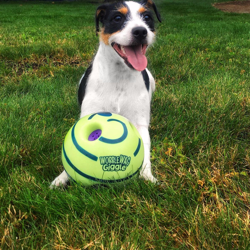 Interaktiver GiggleSphere Spielball für Hunde, der Geräusche macht, um Welpen und erwachsene Hunde zu unterhalten.