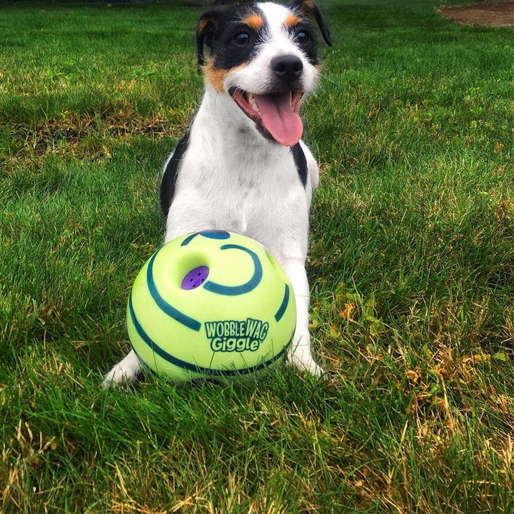 Interaktiver GiggleSphere Spielball für Hunde, der Geräusche macht, um Welpen und erwachsene Hunde zu unterhalten.