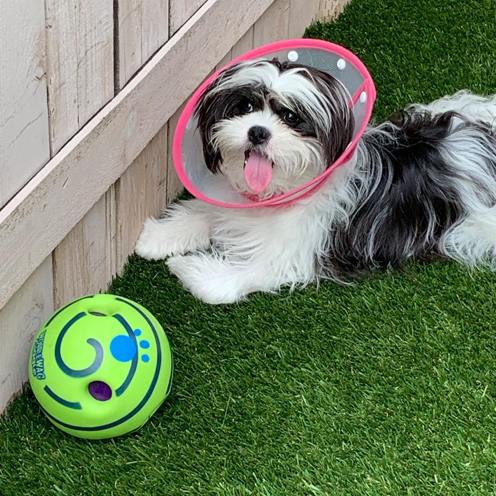 Langlebiger GiggleSphere Hundespielball, ideal für interaktives Spielen und als Anti-Langeweile-Spielzeug.