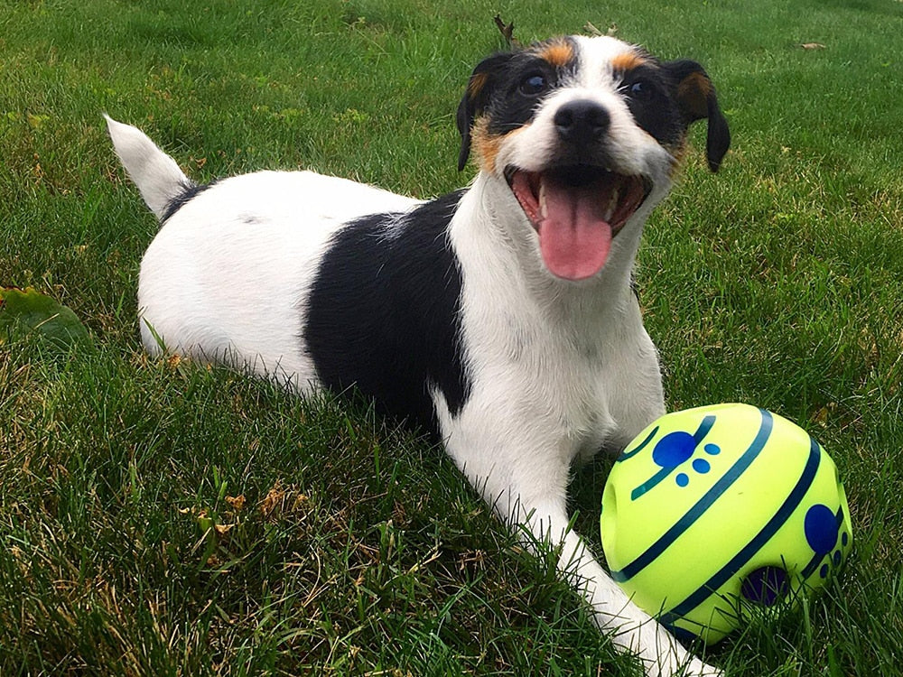 Dynamischer GiggleSphere interaktiver Spielball für Hunde, der Bewegung anregt und geistige Stimulation bietet.