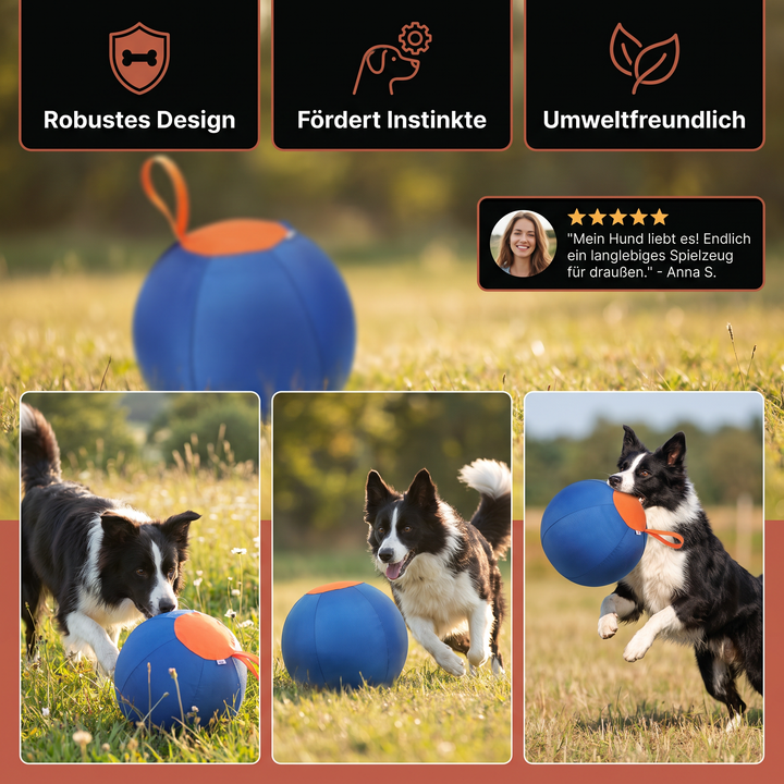 Robustes Hundespielzeug: Blauer, interaktiver Hüteball für energiegeladene Hunde und geistige Stimulation.