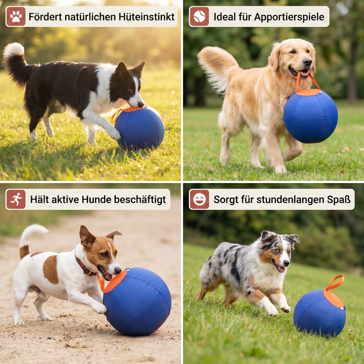 Langlebiger interaktiver Hüteball, das perfekte Hundespielzeug für aktive Hunde zum Energieabbau.