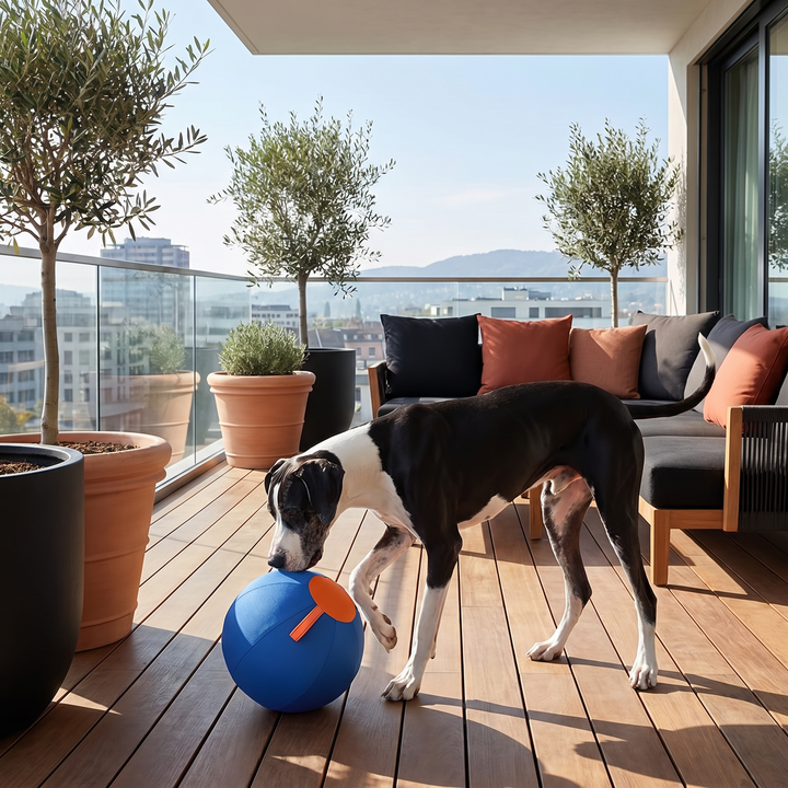 Interaktiver Hüteball für Hunde, robustes Spielzeug zur Beschäftigung und zur Förderung des Energieabbaus.