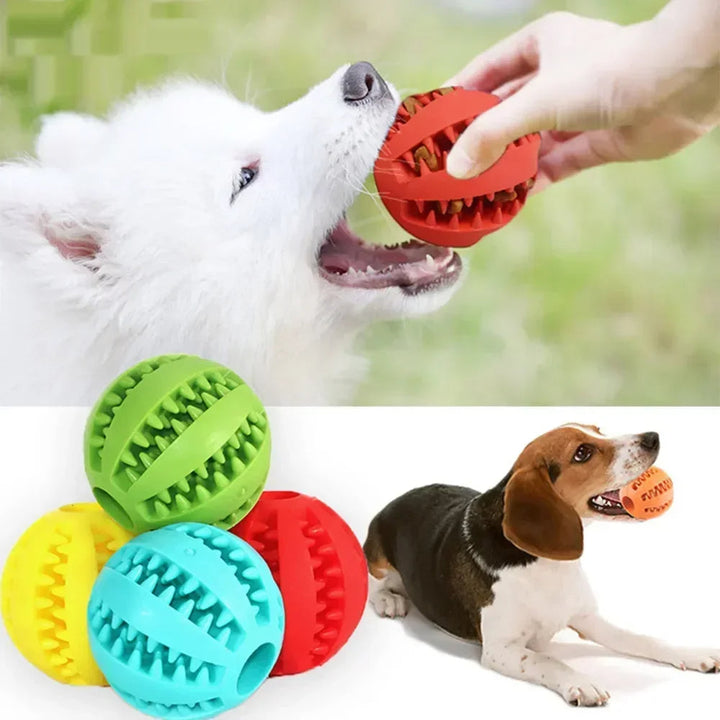 Interaktiver Hunde Kauball für Zahnreinigung und Spielspaß. Robuster Zahnpflege-Gummiball für Welpen & Hunde.
