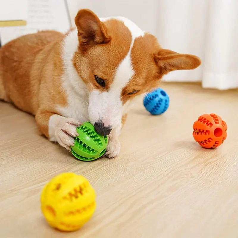 Grüner Hunde Kauball mit Noppen zur effektiven Zahnreinigung und Massage des Zahnfleischs bei Hunden.