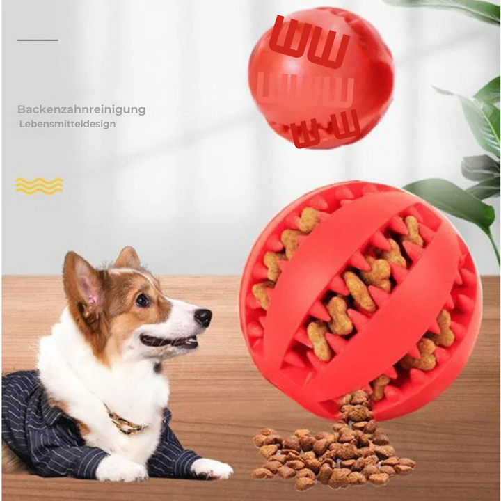 Robuster Gummiball als Hundespielzeug, strapazierfähig für intensive Kauer und effektive Zahnreinigung.