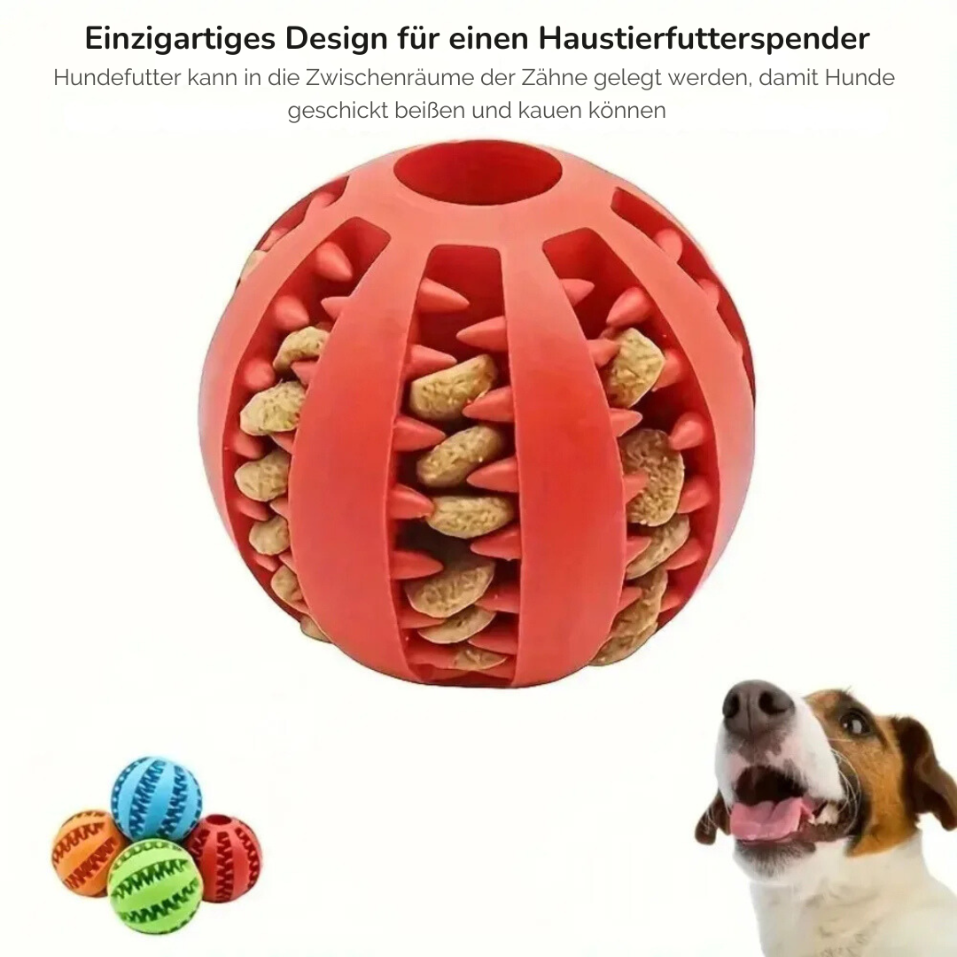 Ein glücklicher Hund spielt mit dem interaktiven Kauball, der seine Zähne reinigt und für Unterhaltung sorgt.