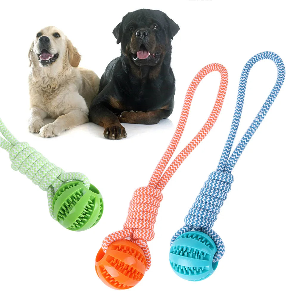 Vielseitiger Kauball für kleine bis große Hunde, perfekt für Spiel, Training und intensive Zahnpflege.