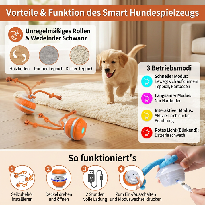Bunter interaktiver Hunde Spielball mit robustem Zerrseil. Ideales Kauspielzeug für Spielspaß & Zahnpflege.