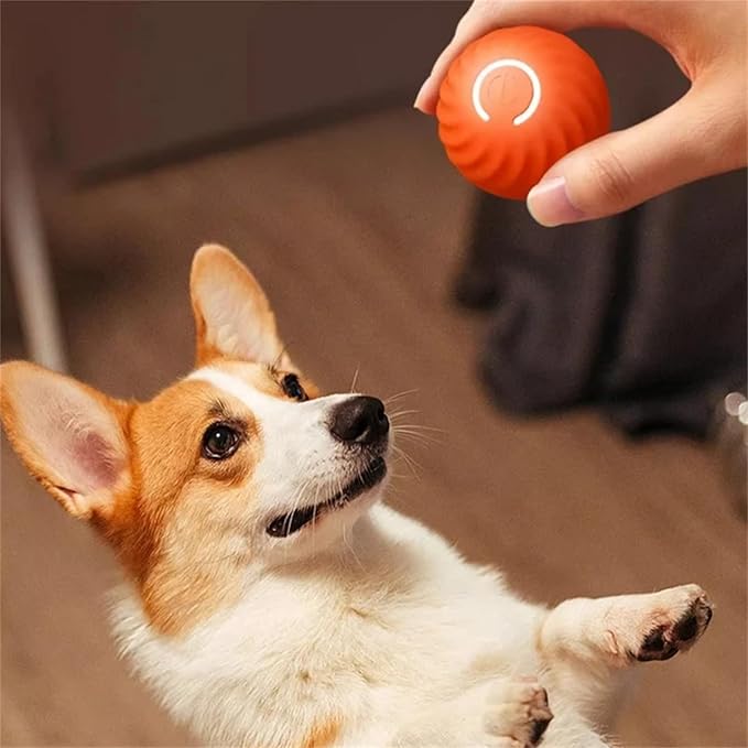 Interaktiver Hundespielball mit automatischer Sprungfunktion für spielende Hunde, fördert Aktivität.