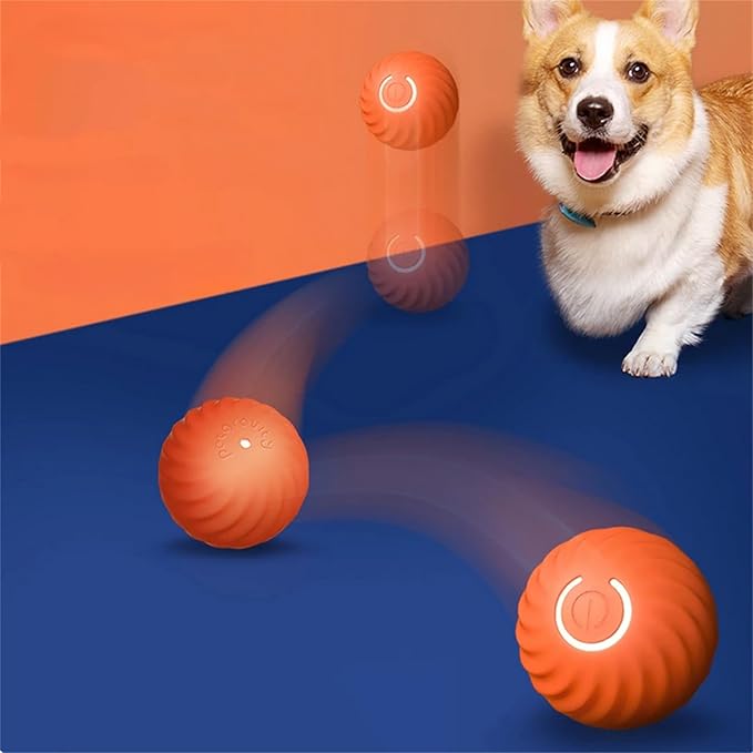 Robustes interaktives Hundespielzeug: ein Springball, der Bewegung & Aktivität des Hundes fördert.