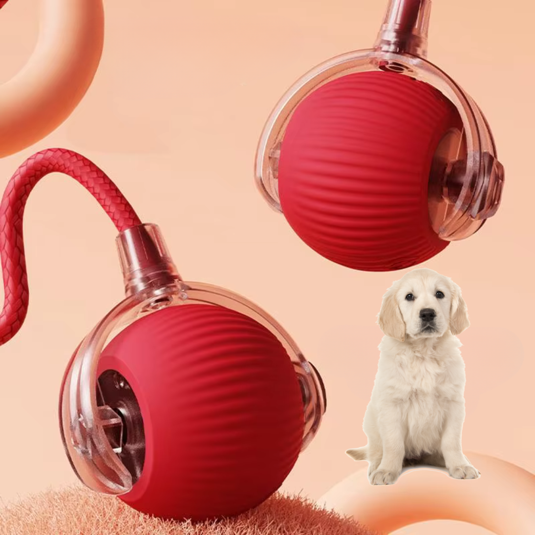 Interaktiver Hundespielball mit langem Schwanz für Apportierspiele und Kauspaß drinnen & draußen.