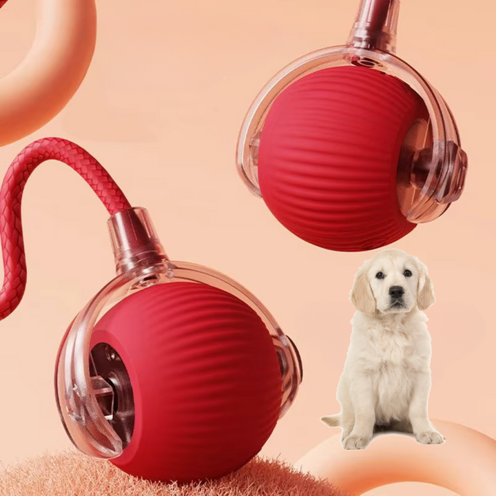 Interaktiver Hundespielball mit langem Schwanz für Apportierspiele und Kauspaß drinnen & draußen.