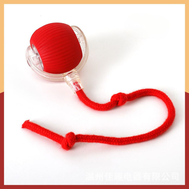 Robuster interaktiver Ball mit Schwanz, ideal für Hundetraining und unterhaltsame Spielstunden.