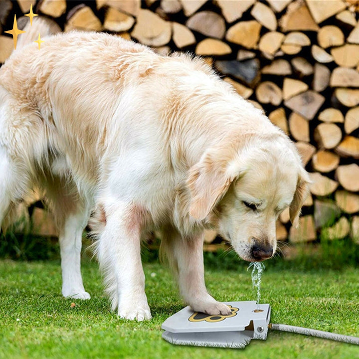 Interaktiver Hundewasserspender PawSplash für abkühlenden Spielspaß. Ideales Wasserspielzeug & Hundefontäne für den Sommer.