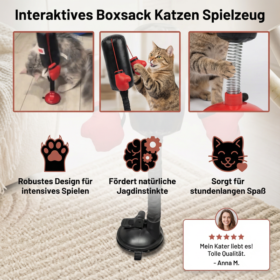 Katze trainiert mit interaktivem Boxsack-Spielzeug. Fördert Fitness, Koordination und geistige Aktivität.