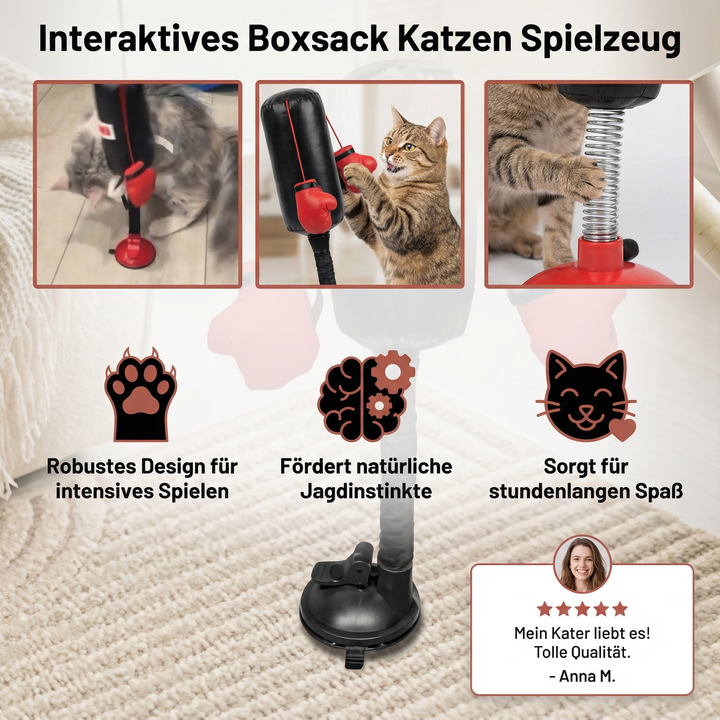 Katze trainiert mit interaktivem Boxsack-Spielzeug. Fördert Fitness, Koordination und geistige Aktivität.