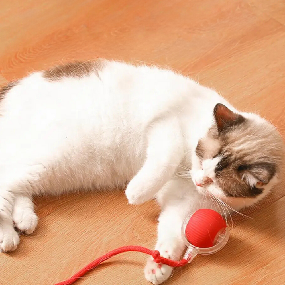 Dynamisches Katzenspielzeug: Bewegungsspielzeug gegen Langeweile, fördert Jagdinstinkte der Katze.