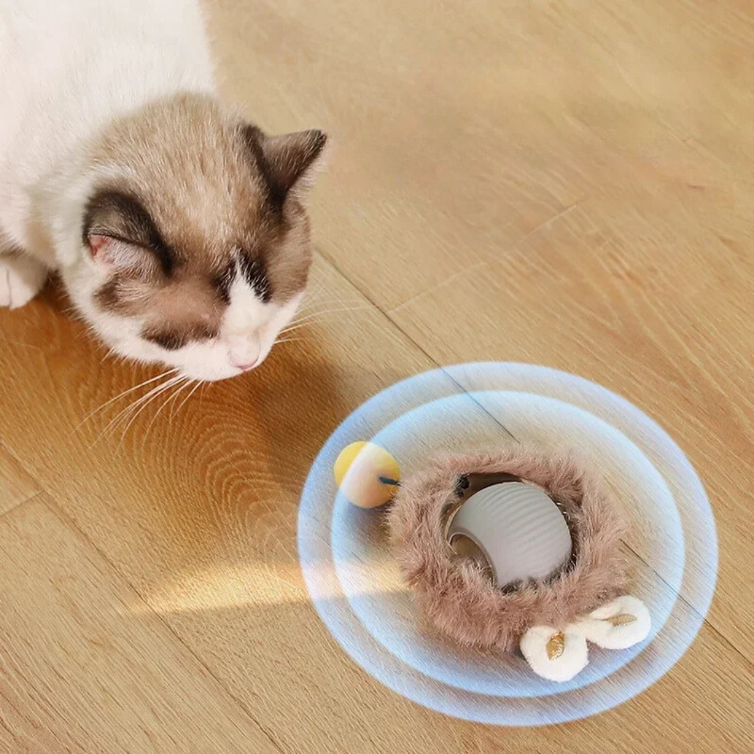 Katzenspielzeug-Ball zur Stimulation der Sinne; interaktiver Spaß für jede Spielzeugkatze.