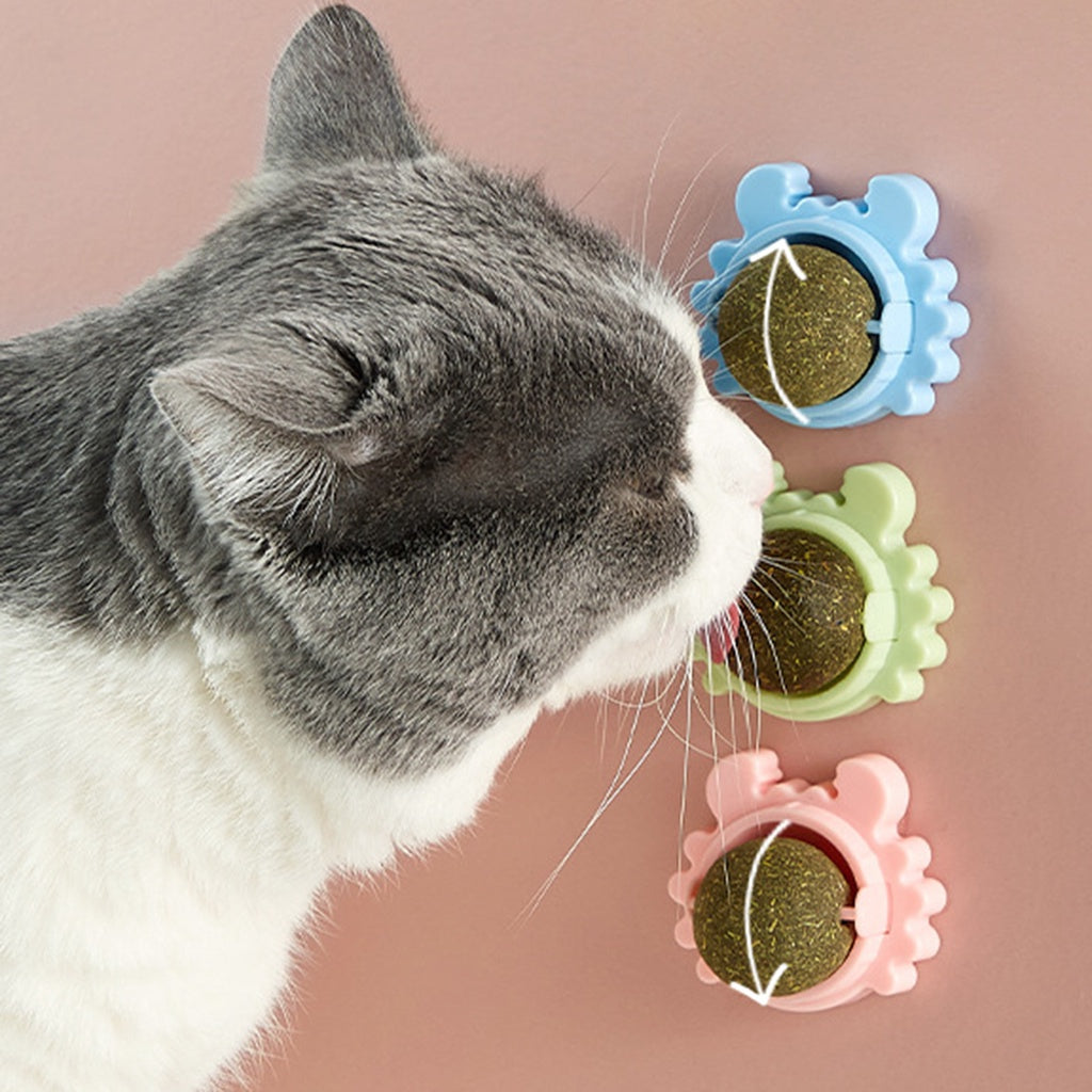 Interaktiver Katzenminze Spielball für Katzen, fördert Spieltrieb & Stressabbau. Beliebtes Katzenspielzeug.