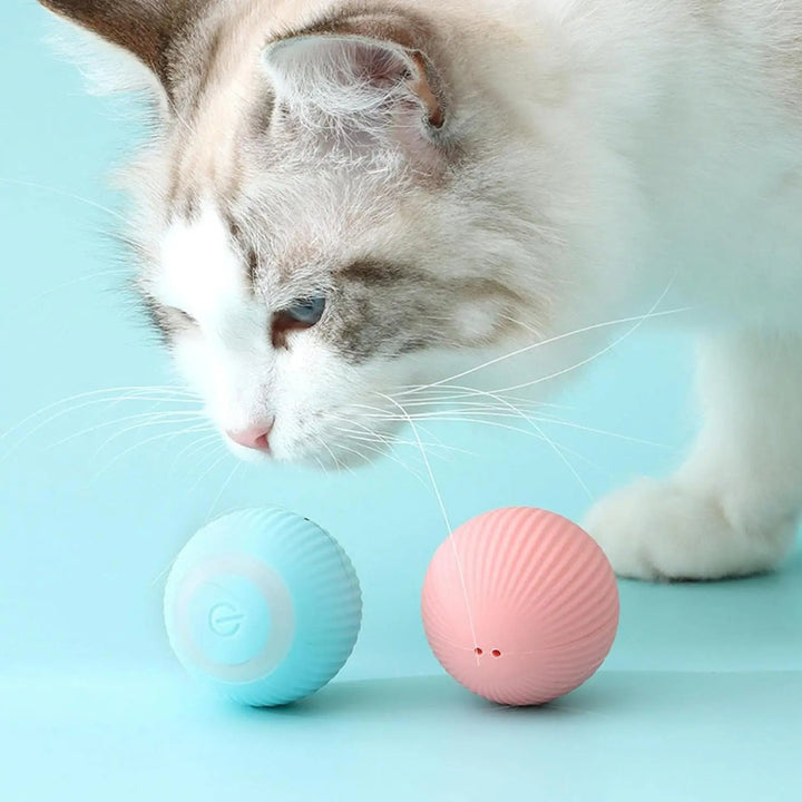 Interaktiver Katzenspielball für aktive Katzen; fördert Bewegung und stundenlangen Spielspaß.