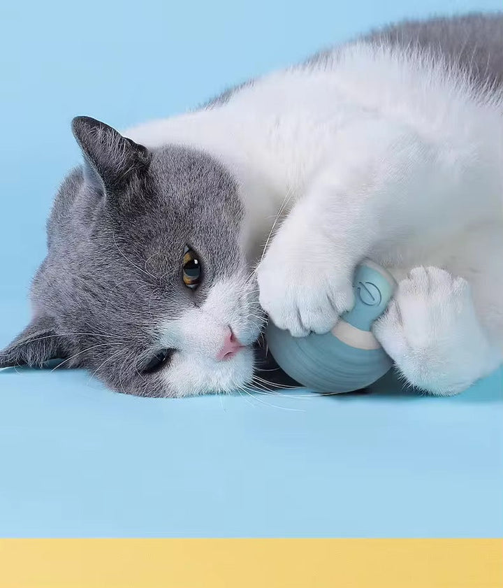 Moderner interaktiver Katzen Spielball, sorgt für Beschäftigung & gegen Langeweile bei Haustieren.
