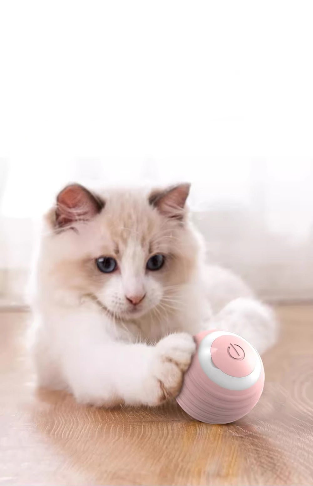 Nahaufnahme eines interaktiven Katzenspielballs, der zum Spielen und Bewegen animiert.