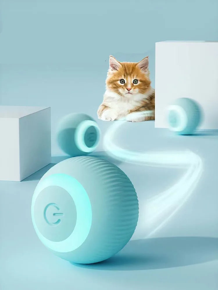 Dieser interaktive Katzenspielball stimuliert den Spieltrieb und sorgt für mehr Aktivität.