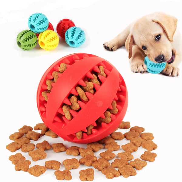 Hundespielzeug Kauball mit Leckerli-Spender. Fördert Zahnreinigung & interaktives Kauvergnügen für Haustiere.