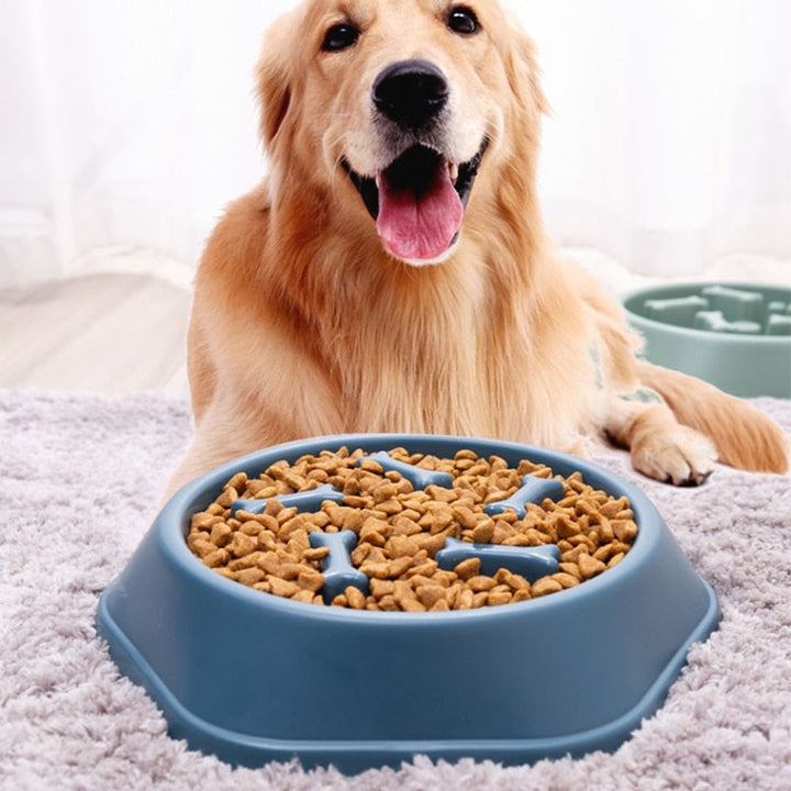 Interaktiver Langsame Fressnapf PawMaze™ für Hunde; fördert langsame Nahrungsaufnahme, gesunde Verdauung & verhindert Schlingen.