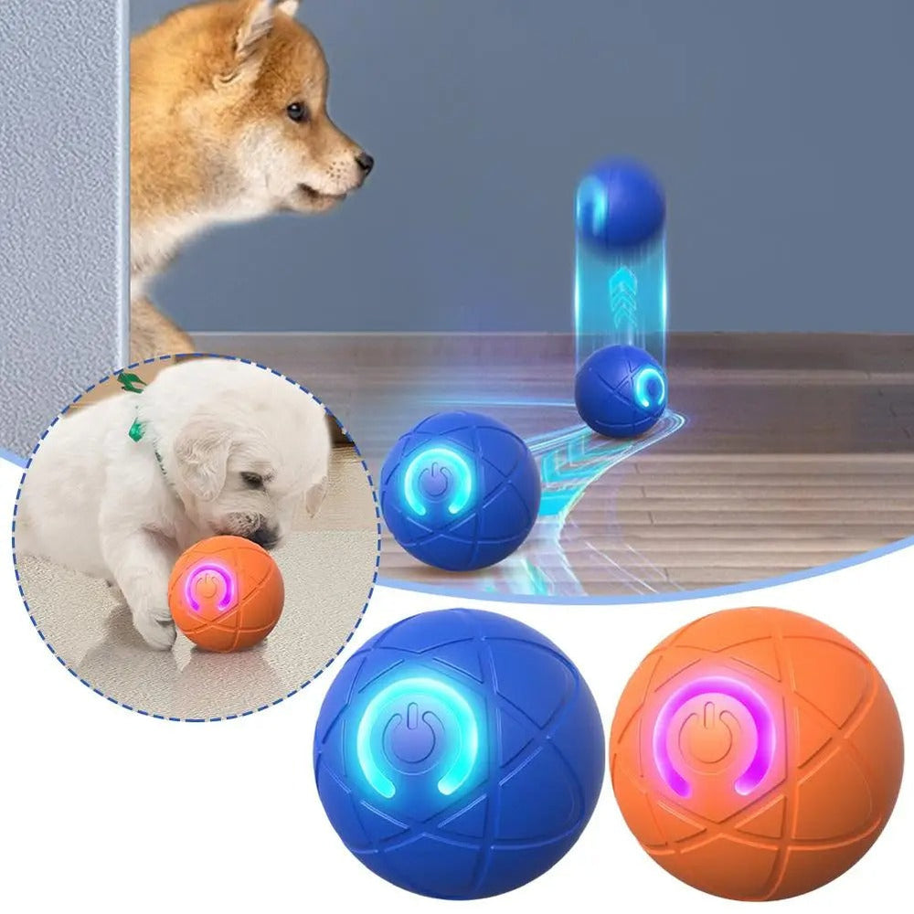 Ein glücklicher Hund spielt begeistert mit dem robusten, interaktiven PetPlay Ball. Ideales Hundespielzeug.