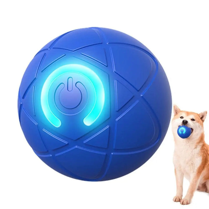 Neugierige Katze jagt den automatischen LED-PetPlay Ball. Wiederaufladbares Katzenspielzeug für Aktivität.