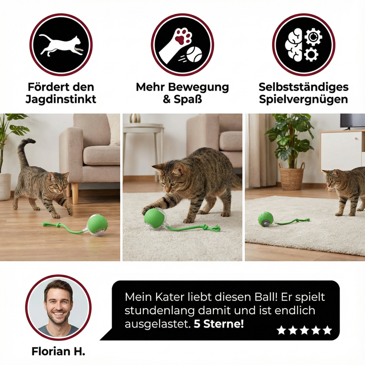 Weicher Plüschball mit Schwanz animiert Katzen zu Bewegung und interaktivem Spiel.
