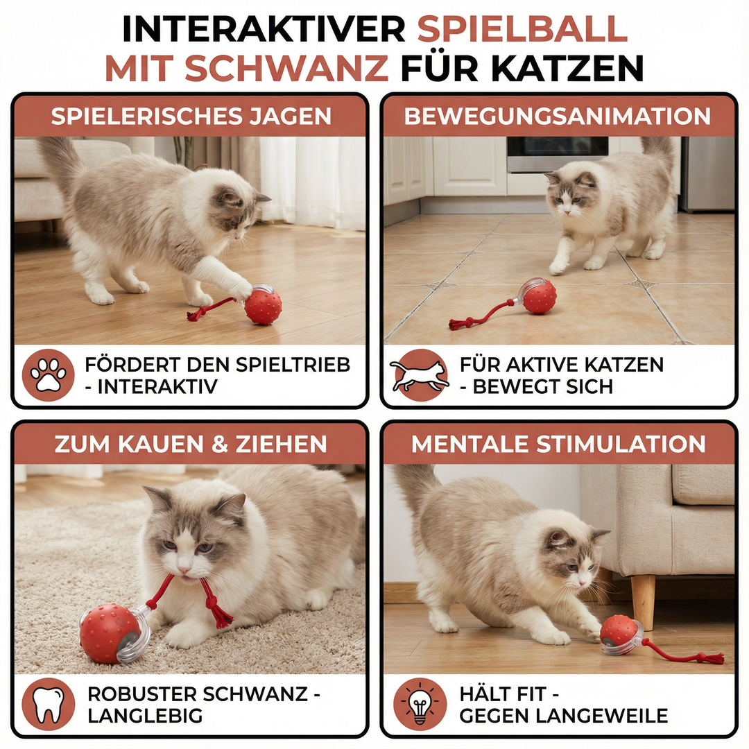 Katze spielt mit interaktivem Spielball, der den natürlichen Jagdinstinkt weckt.