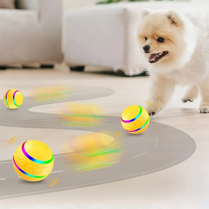Interaktiver Rollball für Hunde & Katzen, vielseitiges Haustierspielzeug für aktive Beschäftigung und gegen Langeweile.