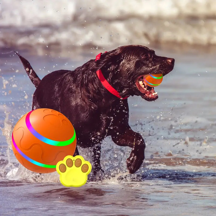 Interaktiver Rollball für Hunde & Katzen, fördert Bewegung und Spielspaß, ideal als Hundespielzeug oder Katzenspielzeug.