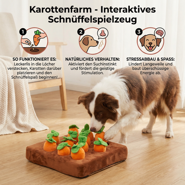 Hund spielt mit interaktivem Schnüffelteppich, sucht Leckerlis, trainiert Geruchssinn & Geist.