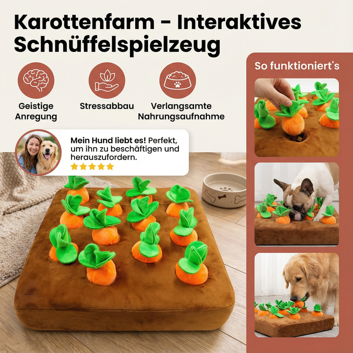 Close-up des Hundeschnüffelteppichs: Viele Verstecke für Leckerlis, anregend für Welpen & Hunde.