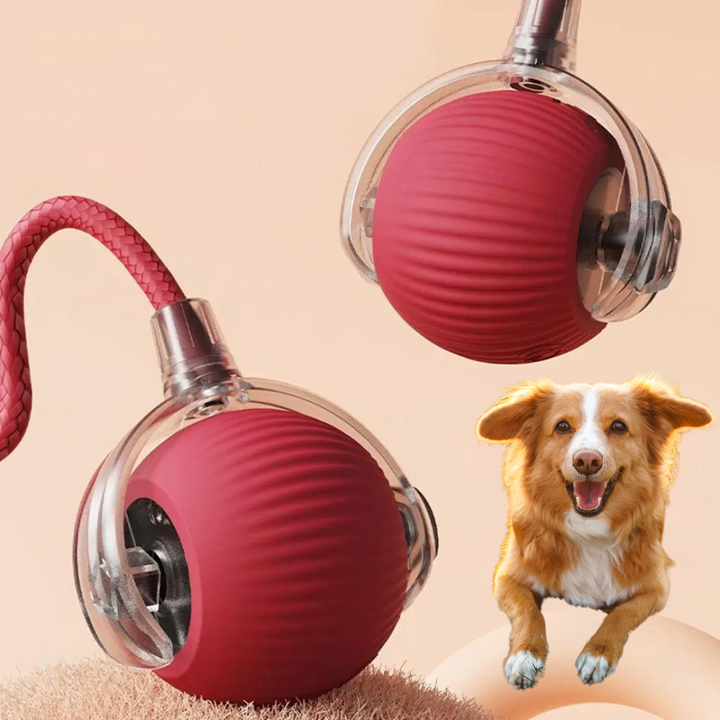 Weicher Plüsch-Spielball für Hunde mit robustem Schwanz. Ideal als Kauspielzeug und Hundebeschäftigung.