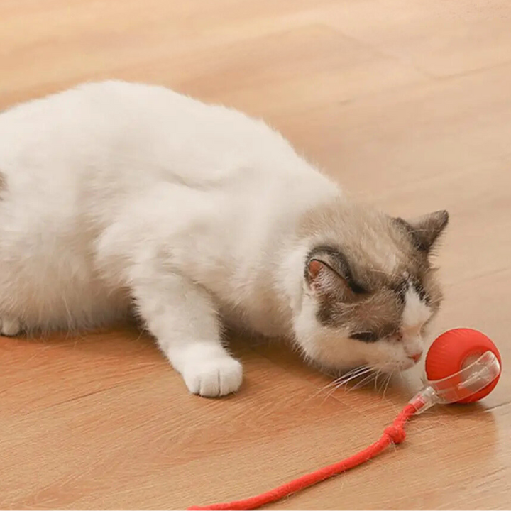 Interaktiver Spielball für Katzen mit langem Plüschschwanz, fördert den Jagdinstinkt.