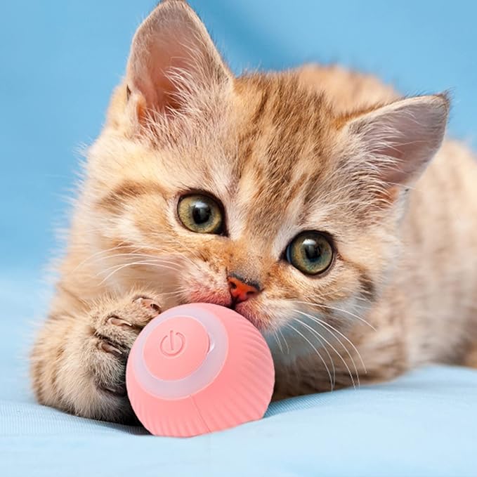Interaktiver Spielball für Katzen, rosa, mit LED-Licht und Bewegung, bietet Stubentigern langen Spielspaß. Wiederaufladbar.