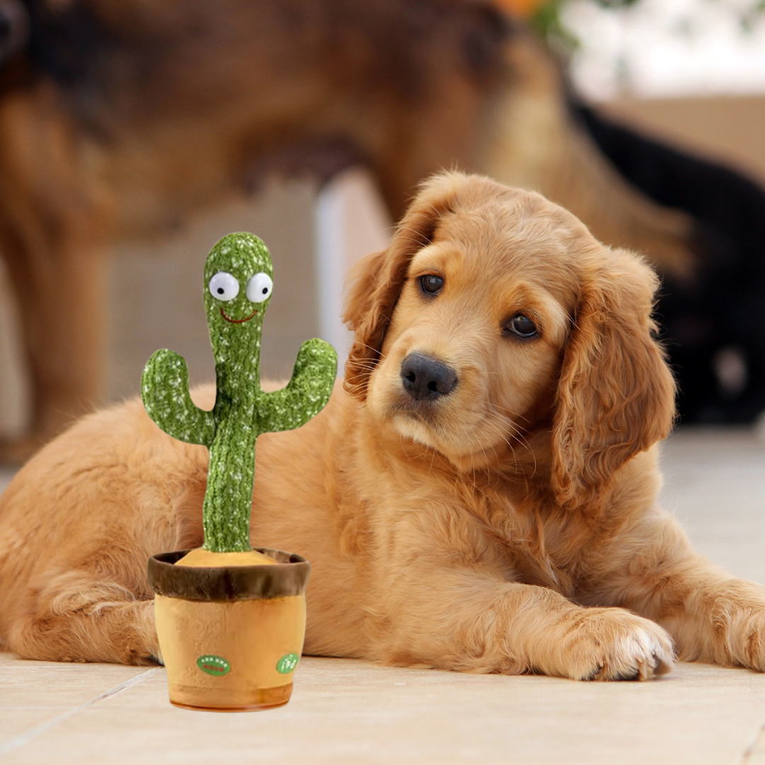 Interaktiver sprechender Kaktus als Plüsch-Hundespielzeug für Unterhaltung & Stimulation. Wiederaufladbar für Hunde.
