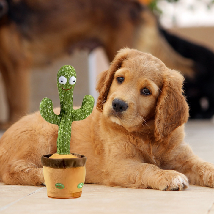 Interaktiver sprechender Kaktus als Plüsch-Hundespielzeug für Unterhaltung & Stimulation. Wiederaufladbar für Hunde.