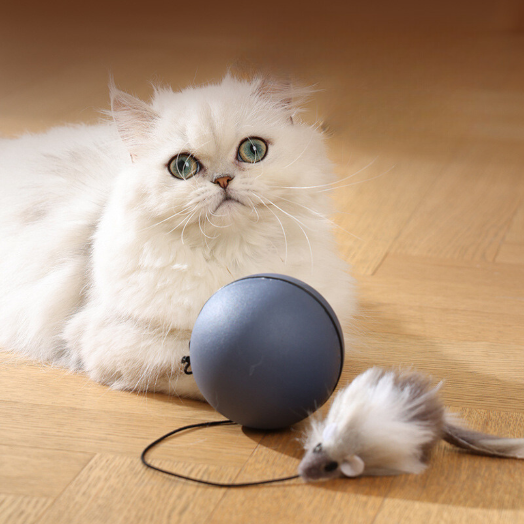 Interaktiver Turboball für Katzen mit blau-orangem Schwanz. Graues Katzenspielzeug fördert Jagdinstinkt.