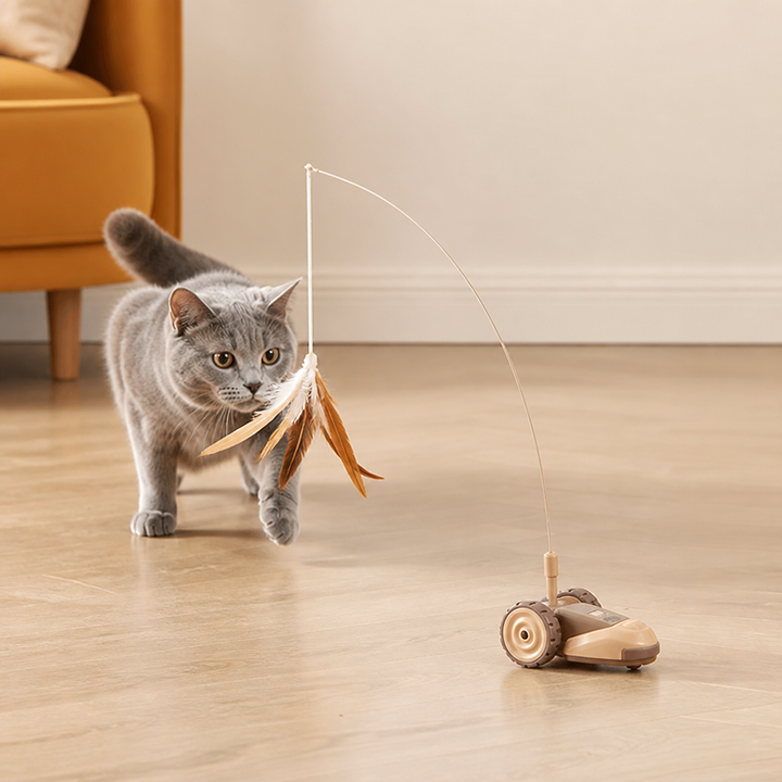 Interaktives 3-in-1 Katzenspielzeug für Beschäftigung. Fördert Spielspaß und Aktivität bei Katzen.