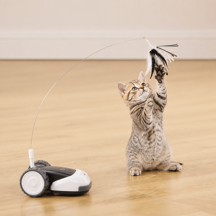 Robustes 3-in-1 Katzenspielzeug für jede Katze. Bietet Federjagd, Spielspaß und Aktivität.