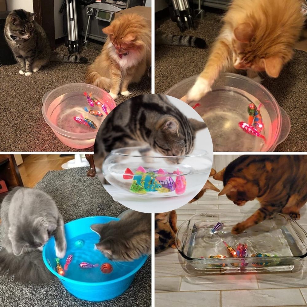 Katze jagt leuchtenden AquaPurr Fisch im Wasserspielset, aktives Katzenspielzeug.