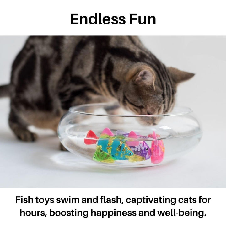 Kätzchen genießt Spielzeit mit dem schwimmenden, interaktiven AquaPurr Fisch-Spielset.